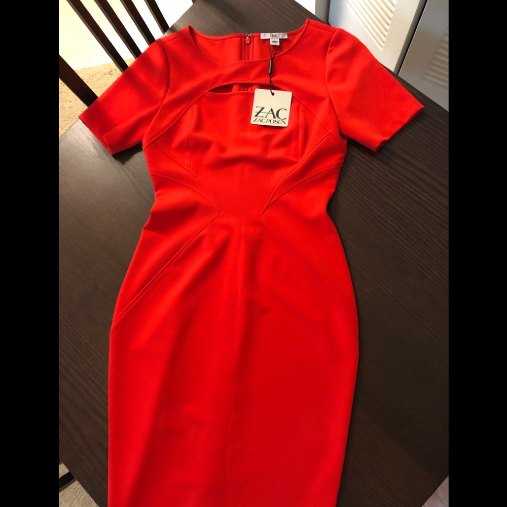 Brand new Zac Zac Posen dress